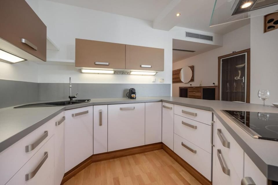 Kitchen or kitchenette, minibar, pet friendly, stove, air conditioner