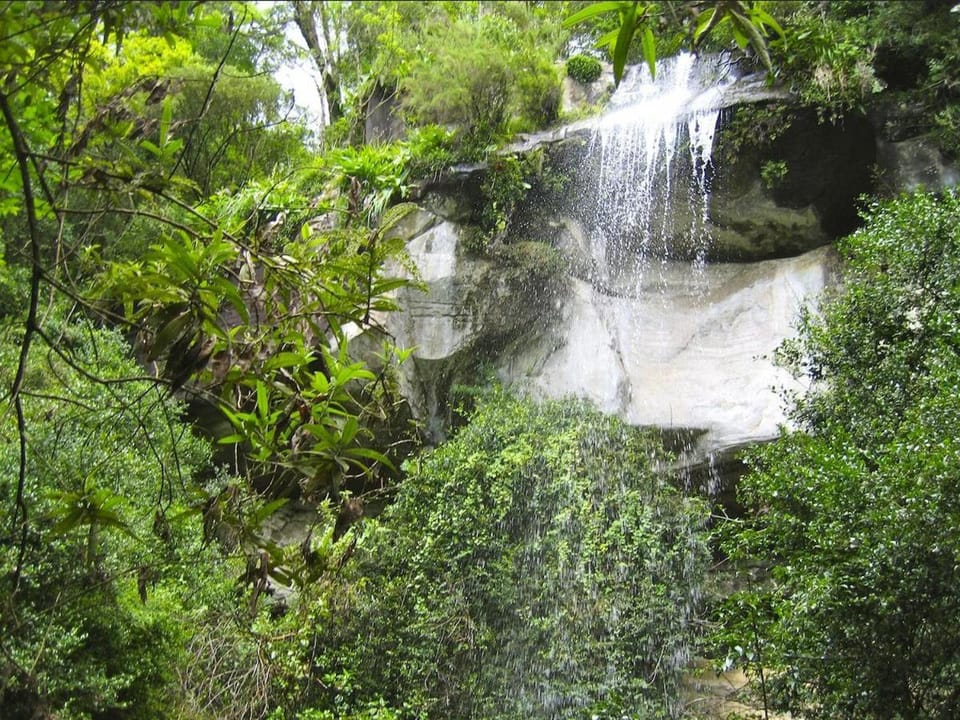 Natural landscape
