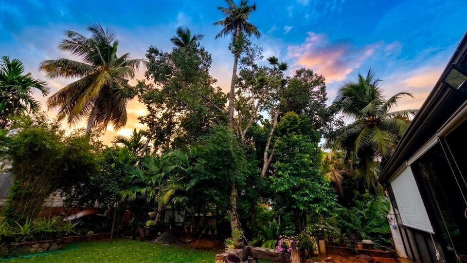 Natural landscape, Garden, Garden view