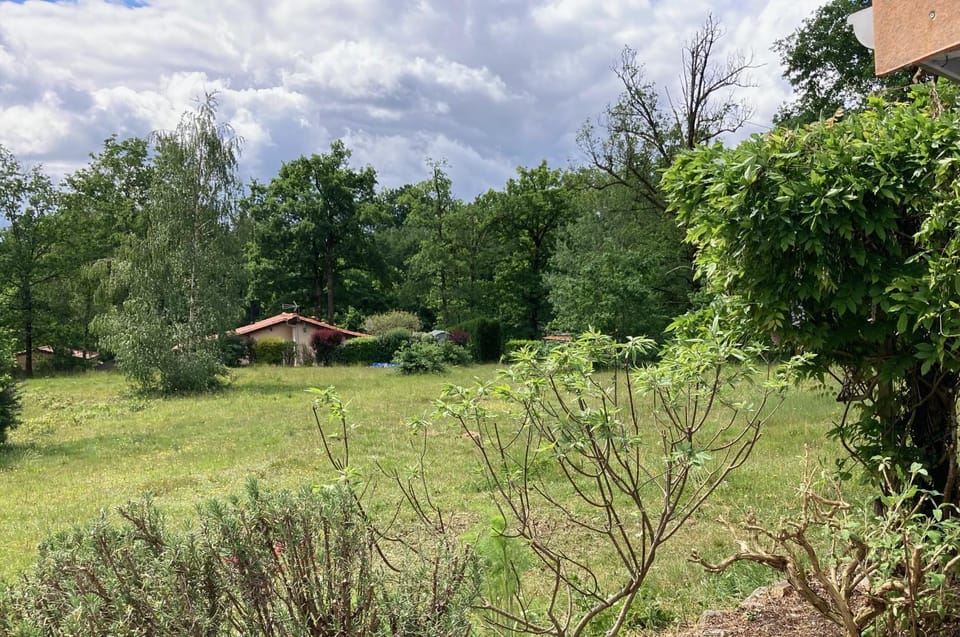 Garden, Garden, Garden view