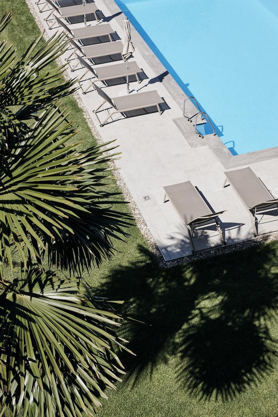 Garden, Swimming pool