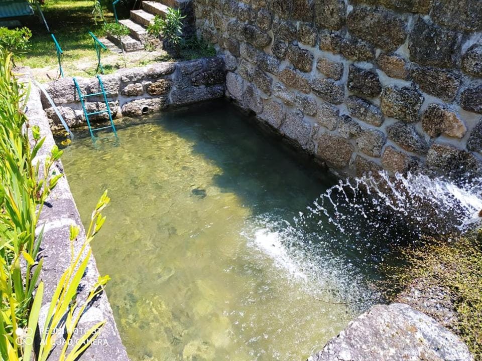 Garden view, Swimming pool