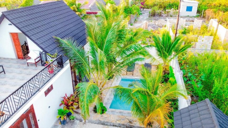Garden, Swimming pool