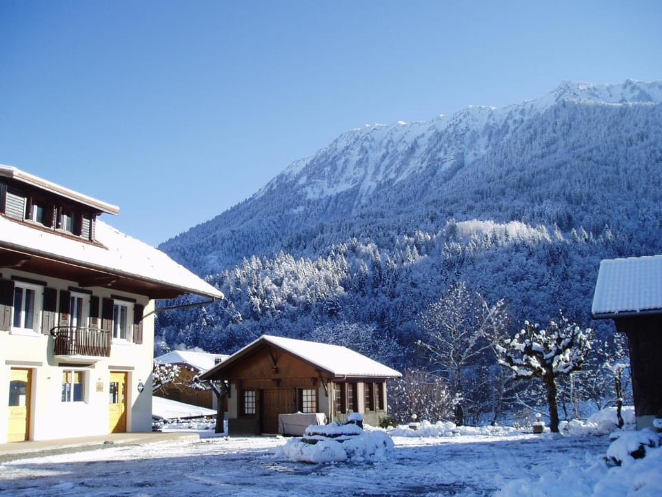 Mountain view
