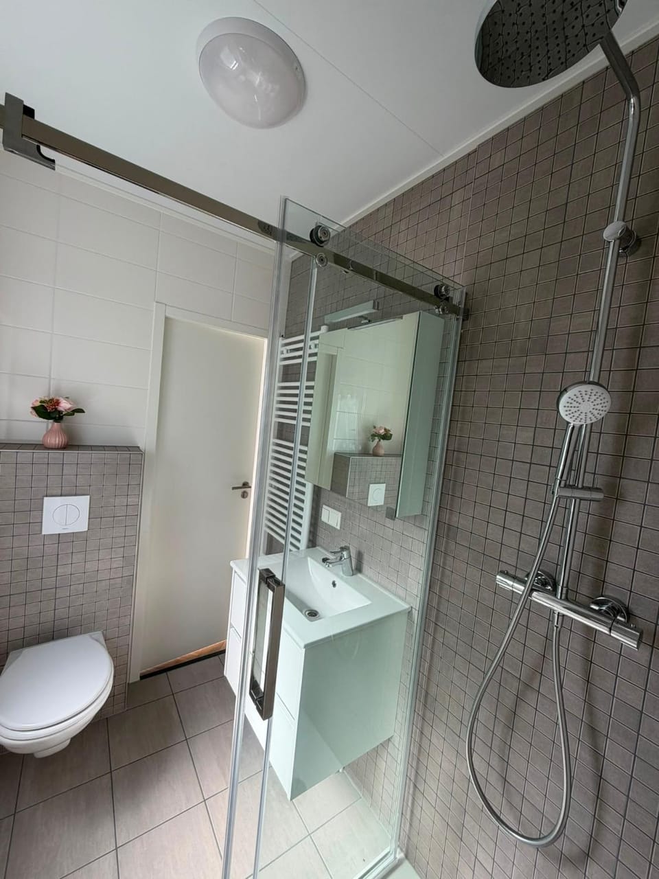 Bathroom, Living room
