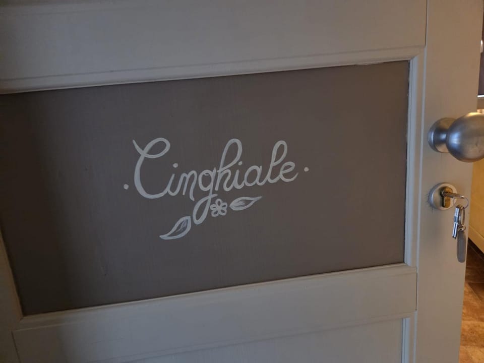 Text overlay