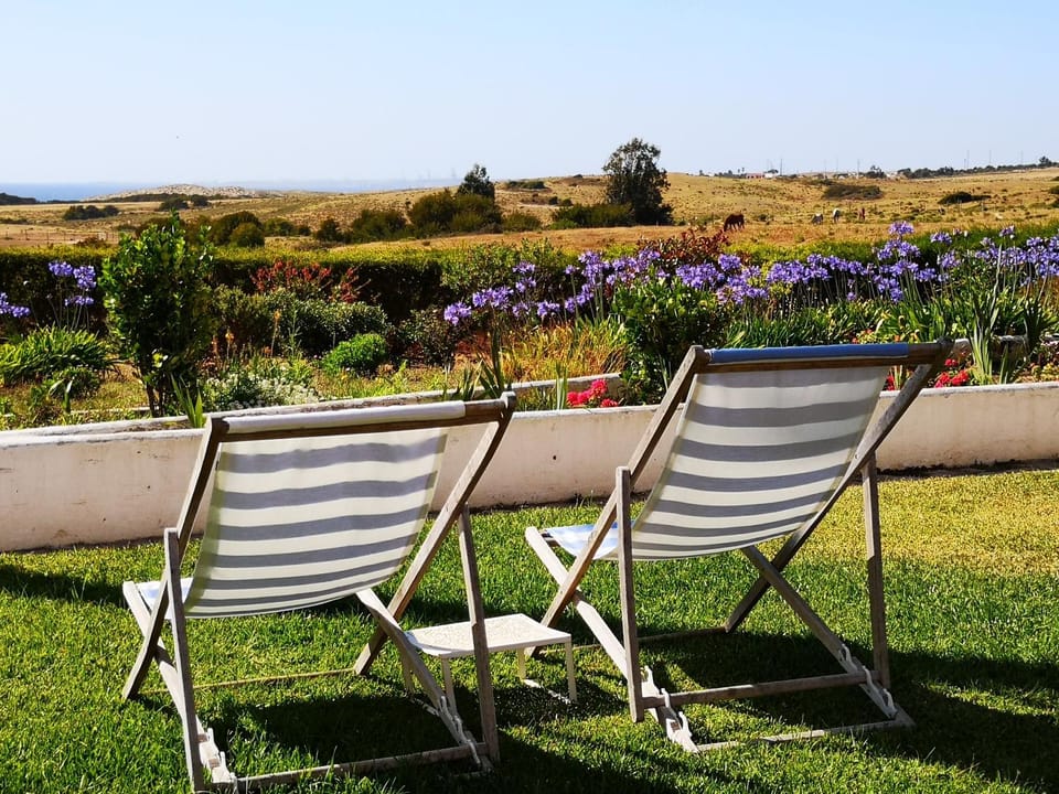 Herdade Do Pessegueiro Farm Stay in Setubal District