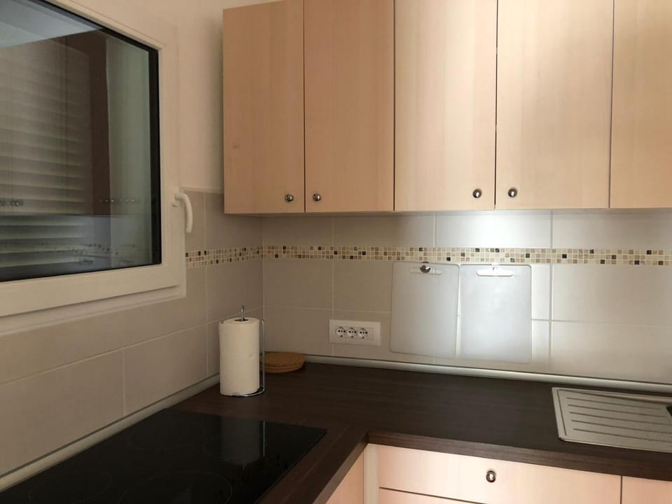 Kitchen or kitchenette, kitchen