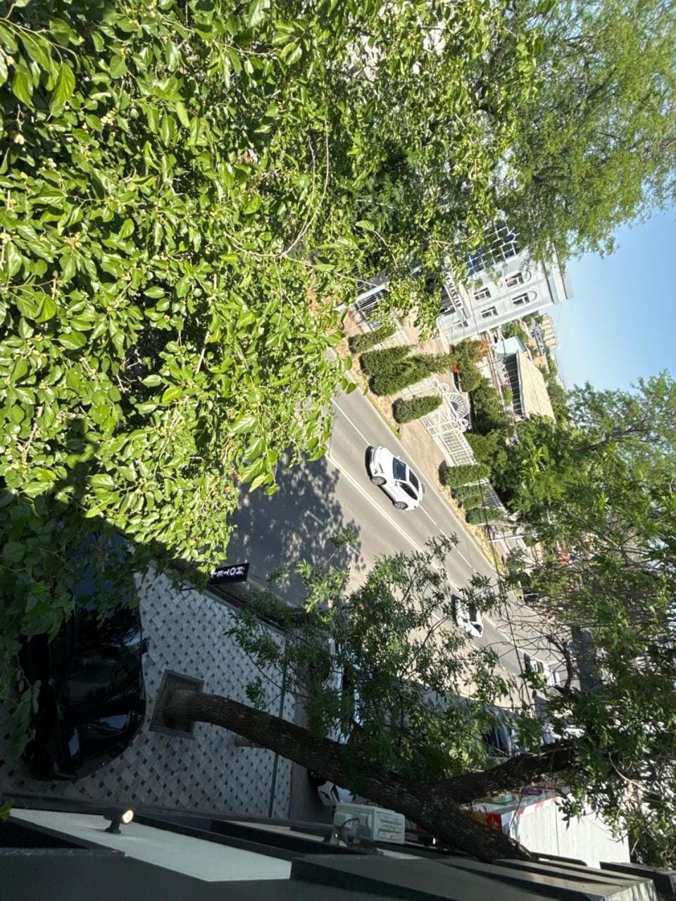 View (from property/room)