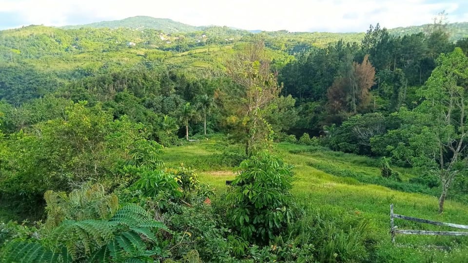 Hacienda mi Remanso Bed and Breakfast in Caguas
