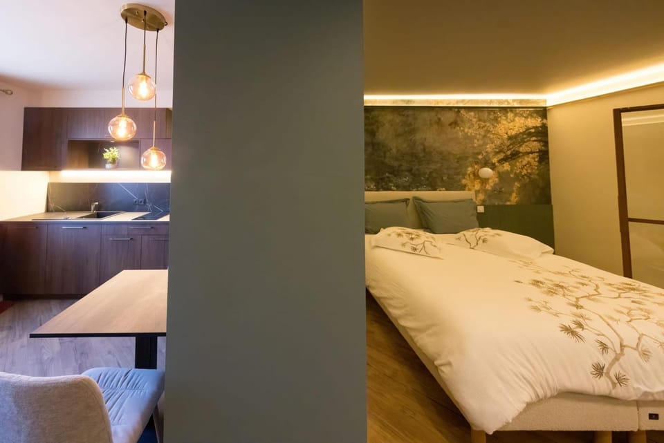 Suite d'exception spa privatif en Duo Néroli Apartment in Vendôme