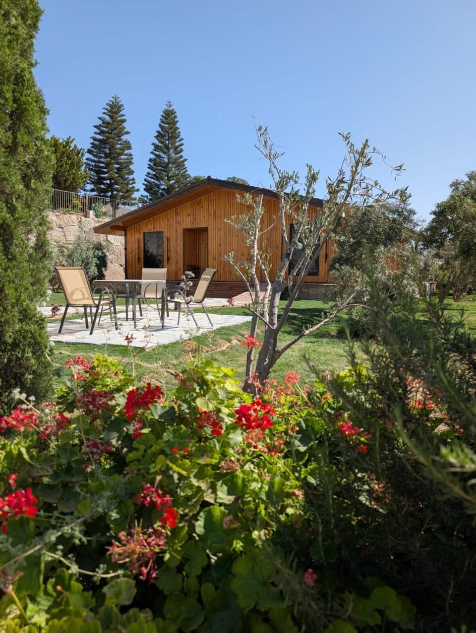 Garden, Garden view