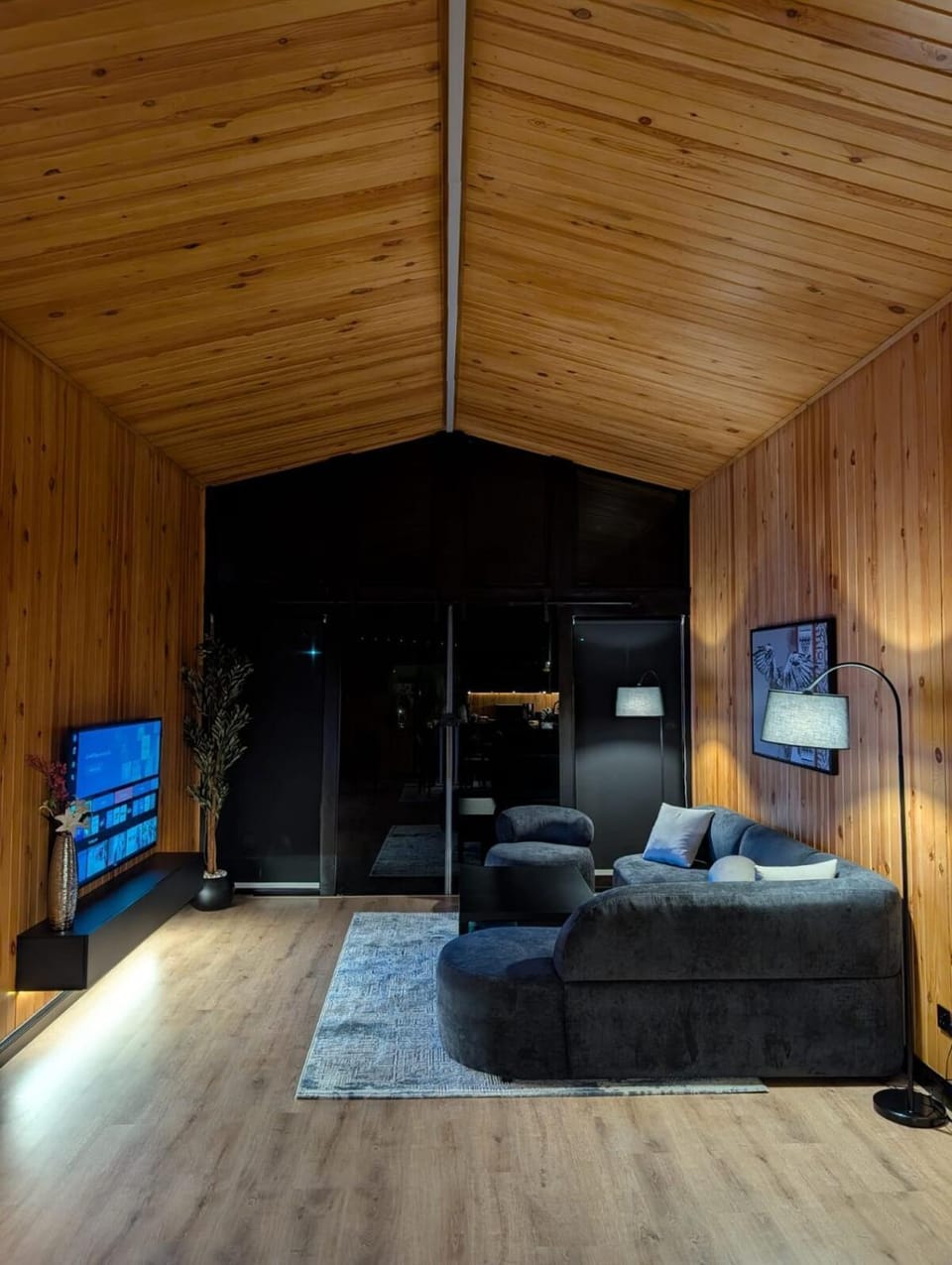 TV and multimedia, Living room