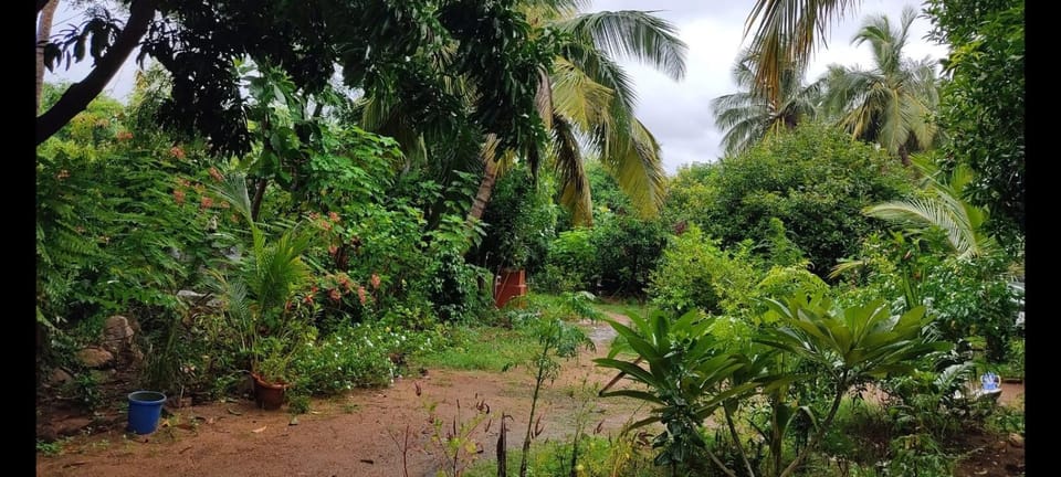 Hampi Lotusriya Homestay Vacation rental in Karnataka