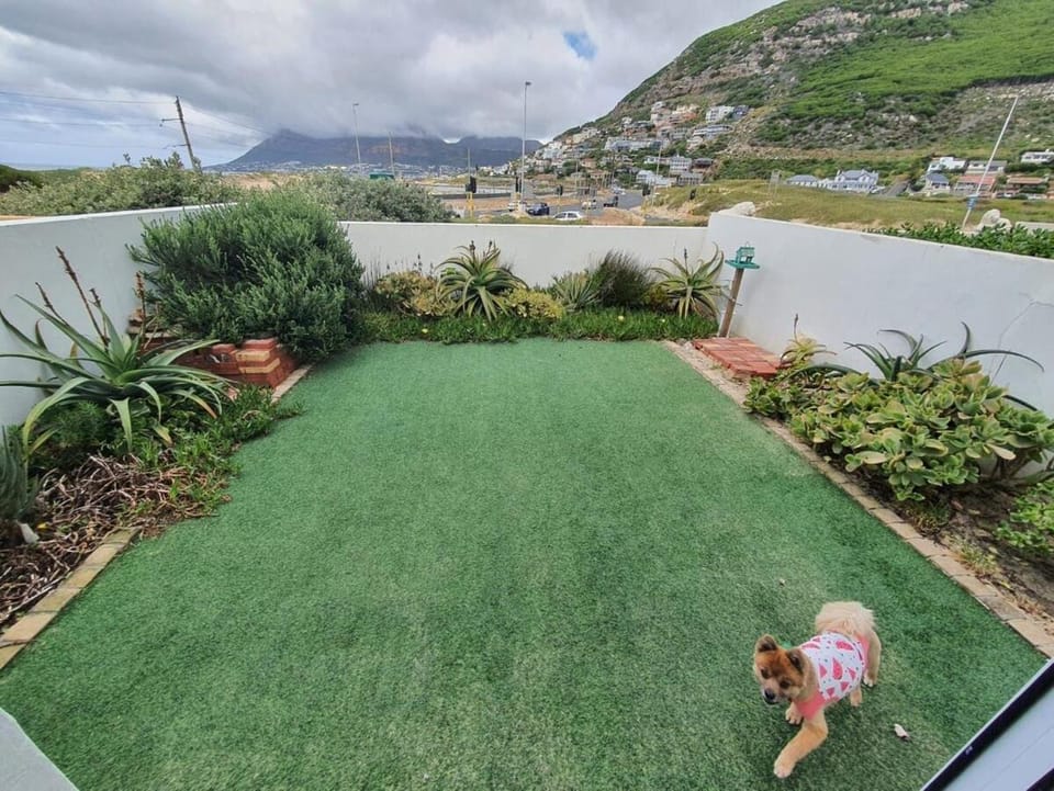 Cheerful seaside 4-bedroom townhouse with parking House in Cape Town
