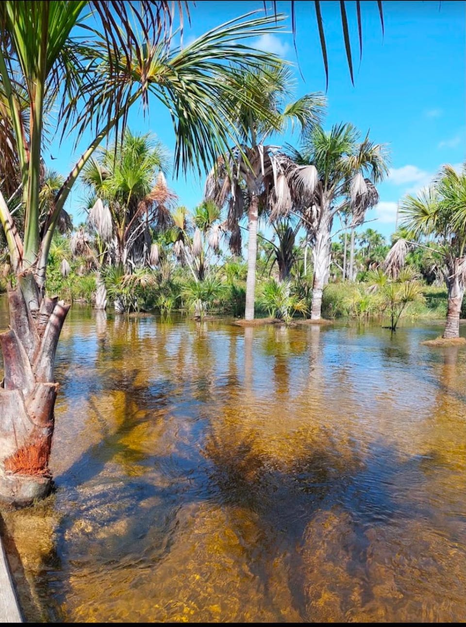 Pousada Fortaleza Bed and Breakfast in State of Piauí, Brazil