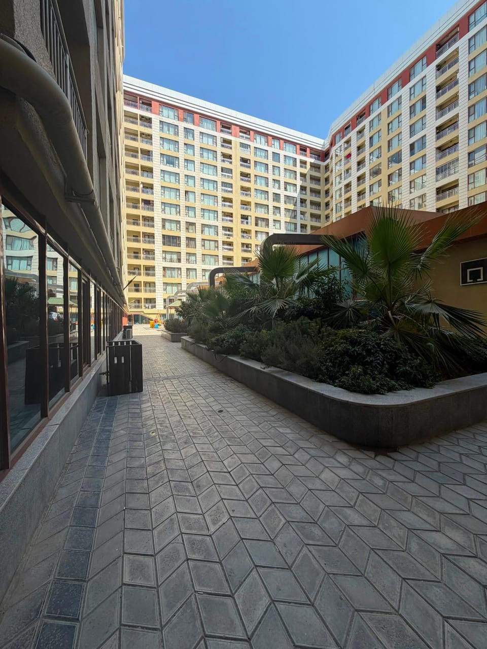 Property building, Day, Garden