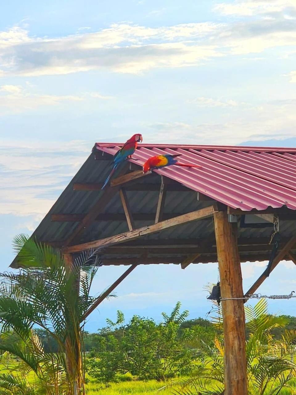 finca el porvenir Country House in Caldas, Colombia