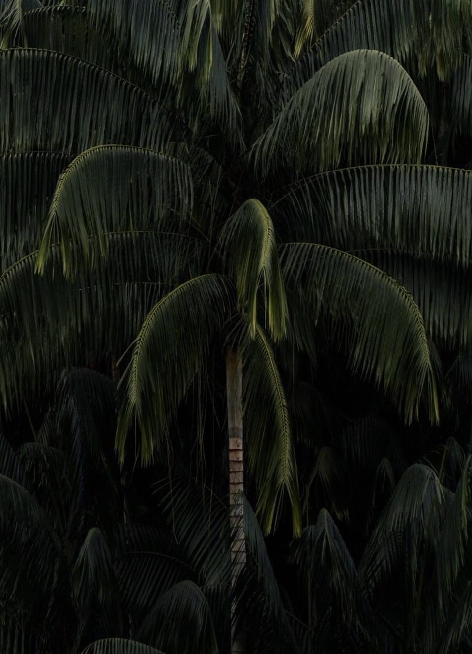 Natural landscape