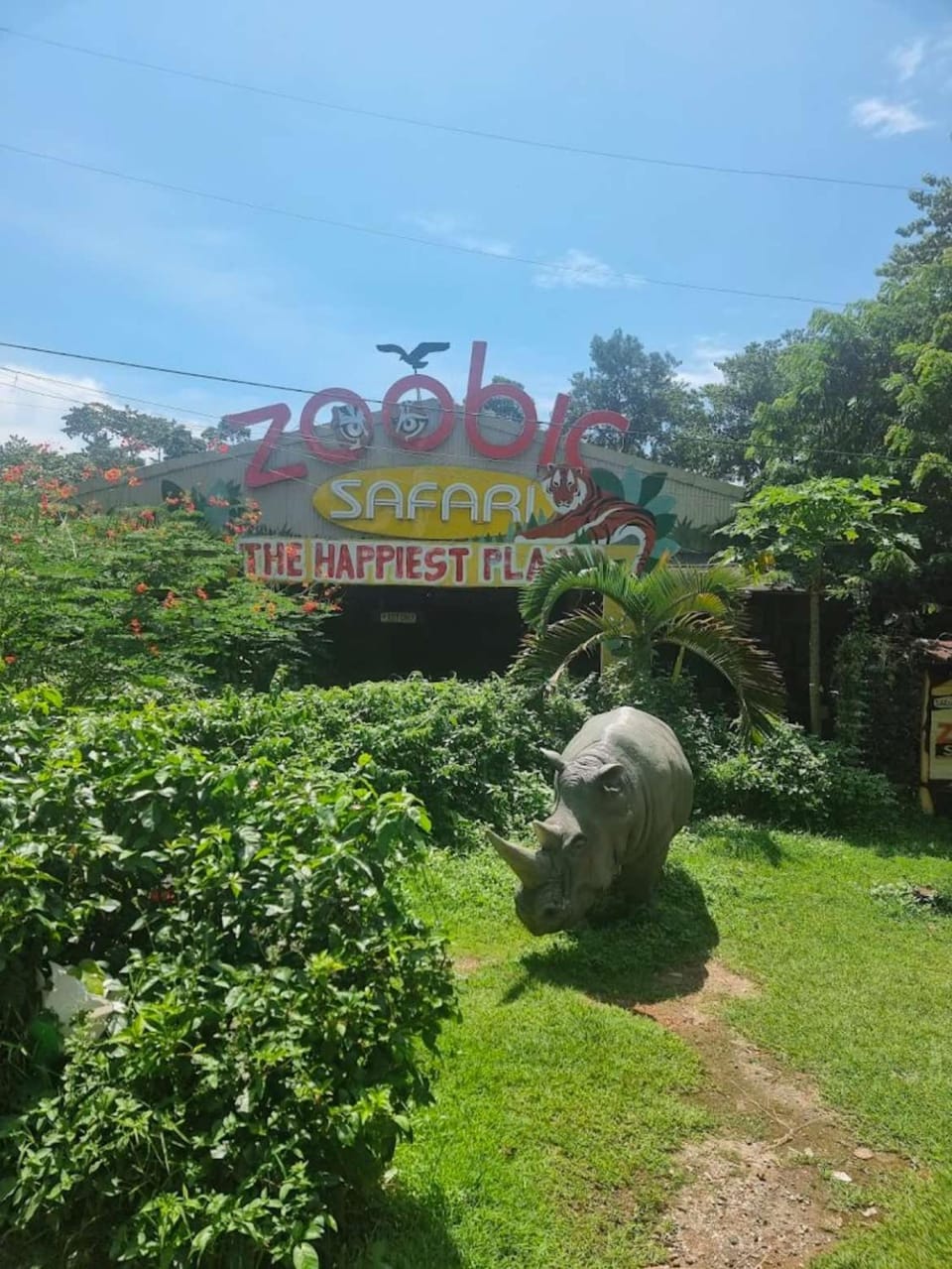 1BR Penthouse Own Kitchen, Jacuzzi, WiFi, Near Subic Bay Apartment in Olongapo