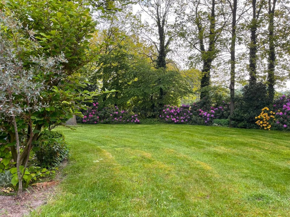 Garden, Garden view
