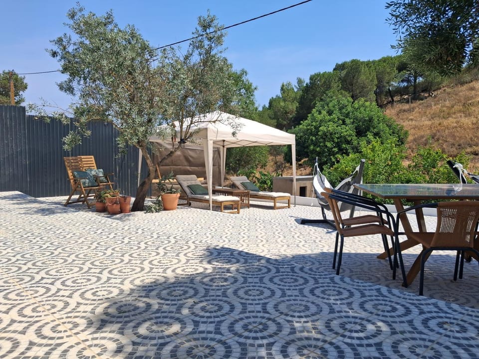 Patio, Garden, Dining area, sunbed