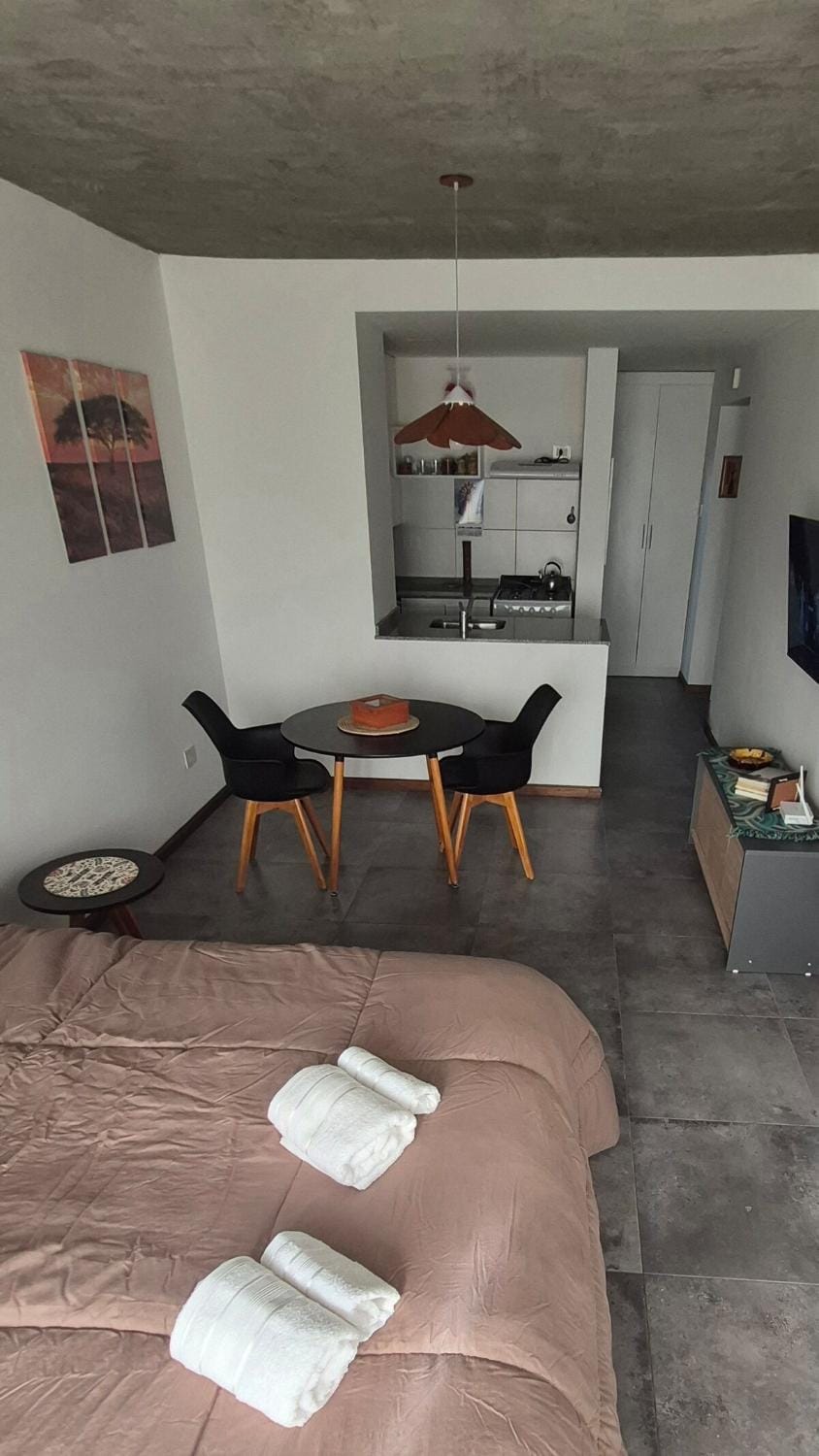 Bed, TV and multimedia, Kitchen or kitchenette, Living room, Photo of the whole room, Seating area, Dining area, Bedroom, towels