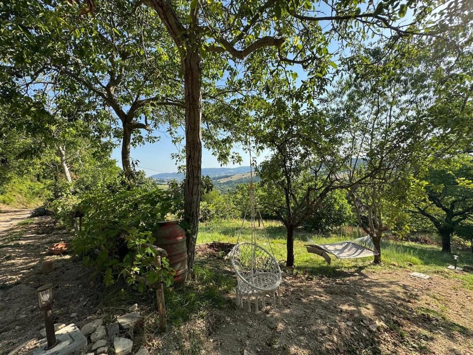 Garden, Garden