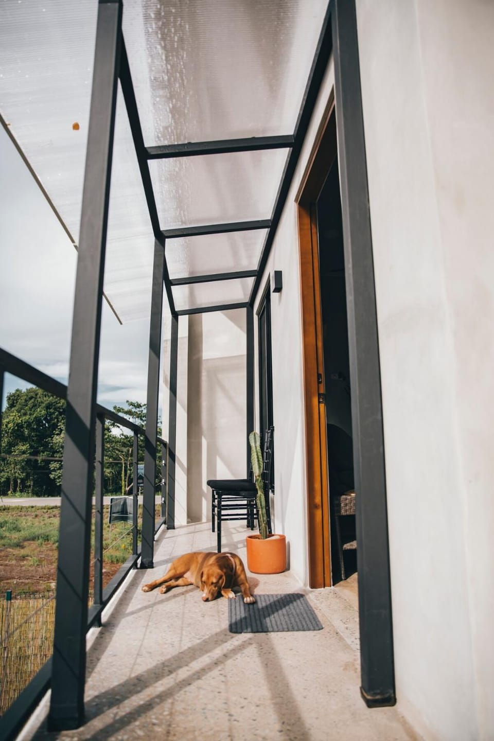 Balcony/Terrace