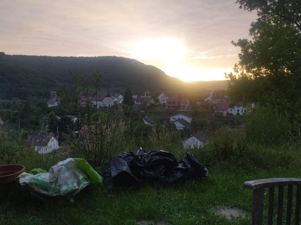 Natural landscape, Garden view, Sunset