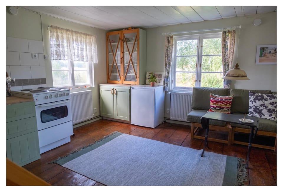 Kitchen or kitchenette, Living room, Dining area, oven, stove