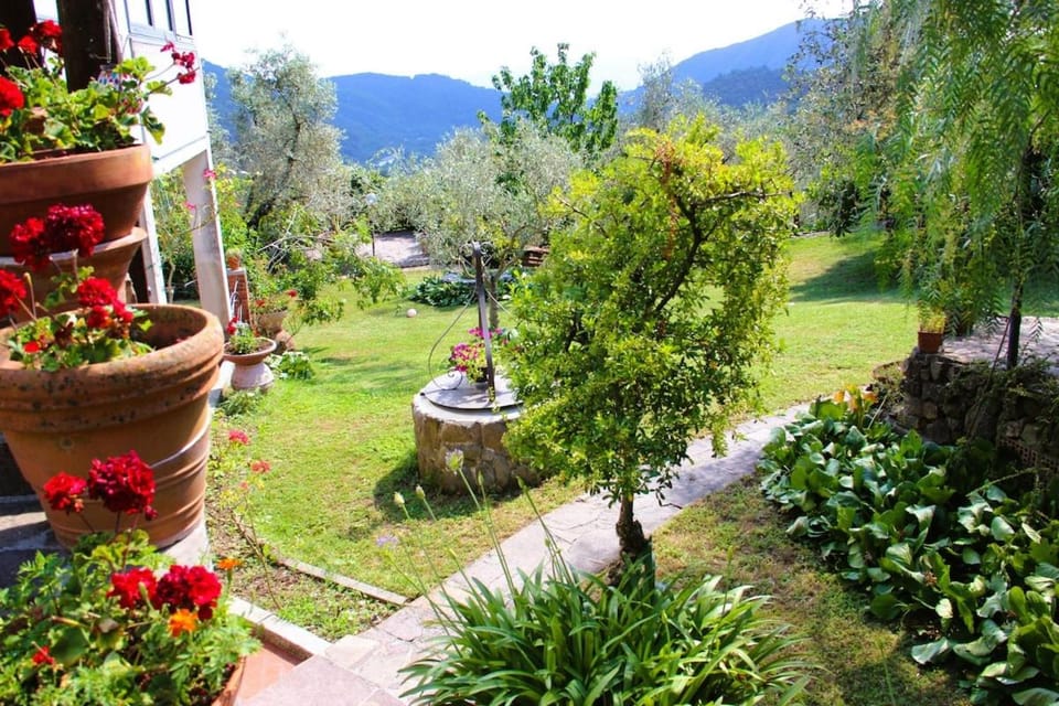 Casa Carla apartment in a villa Apartment in Province of Massa and Carrara