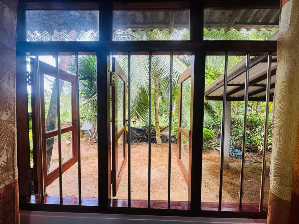 View (from property/room)