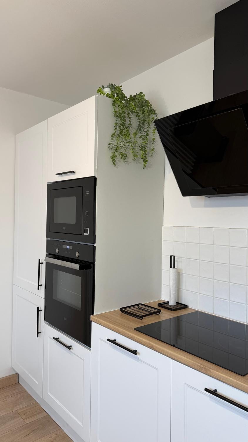 Kitchen or kitchenette, oven, stove