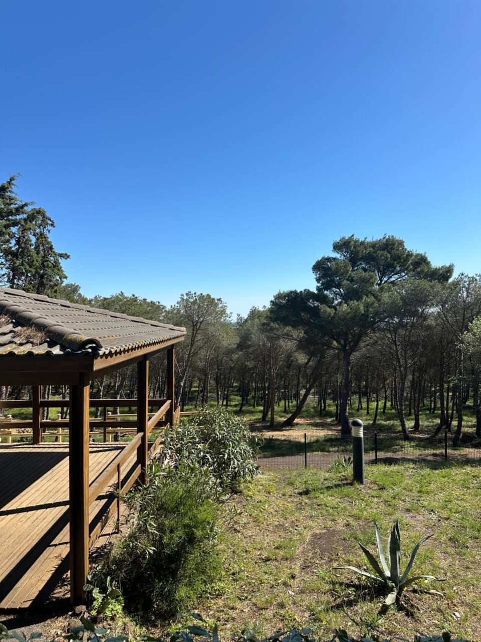 Garden view