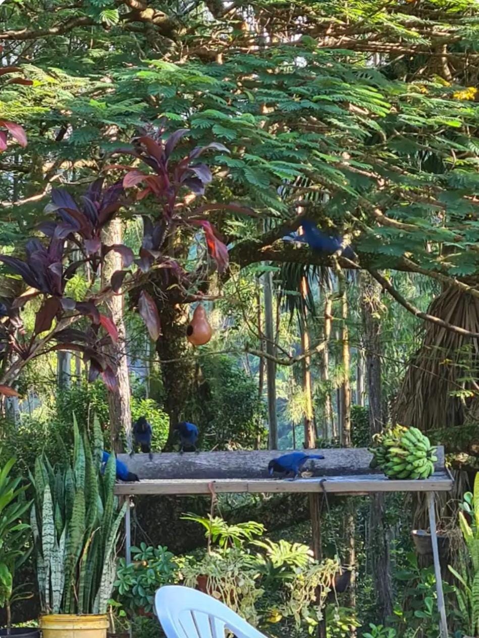 Casa Recanto Natureza e Praia House in Florianopolis