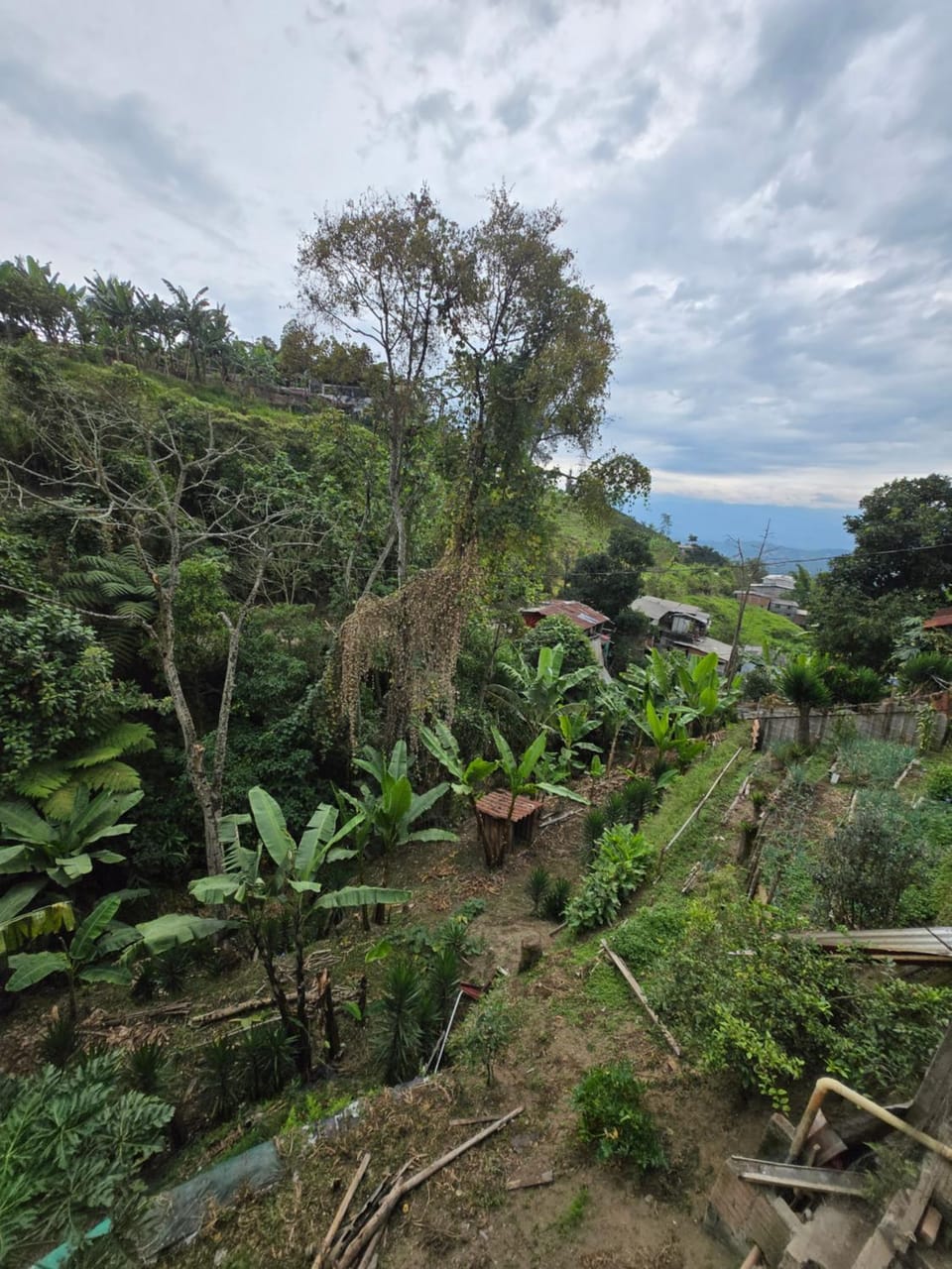 Hogar entre Flores Tradición y Cerca de Todo Vacation rental in Manizales