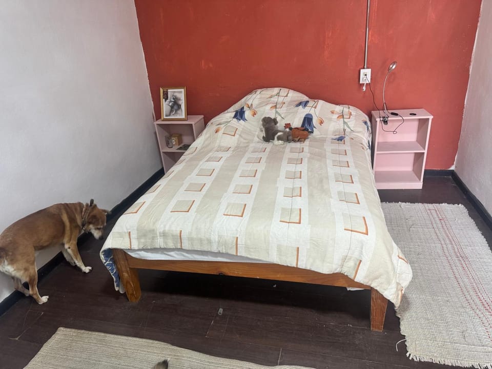 Brena House Vacation rental in San Cristobal de Casas