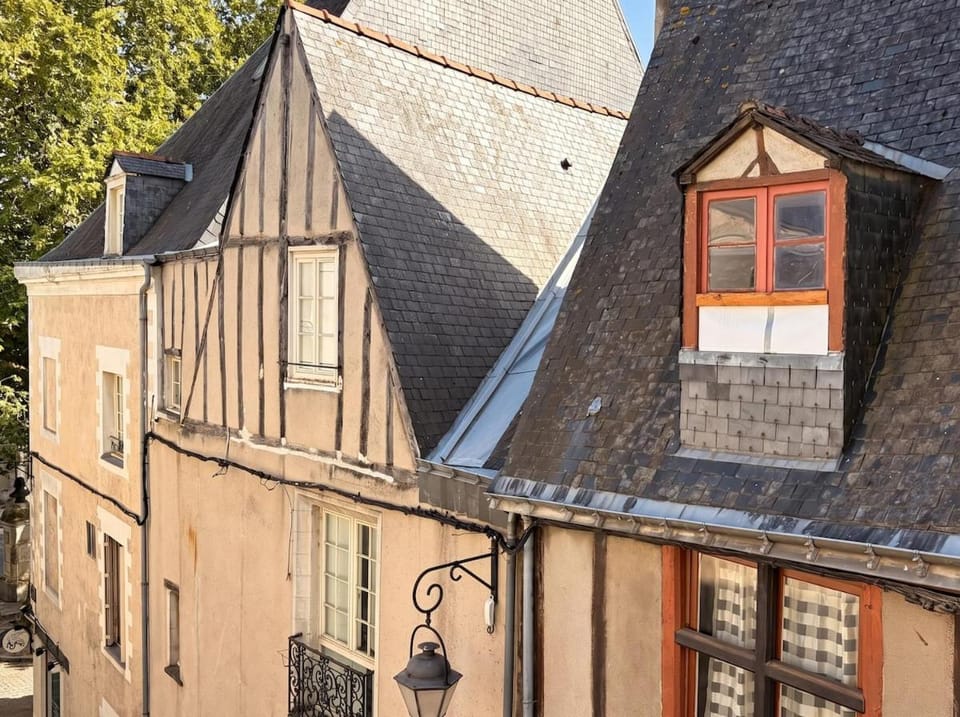 Le Colombage - Centre historique - Doutre Apartment in Angers