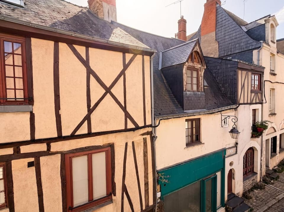 Le Colombage - Centre historique - Doutre Apartment in Angers