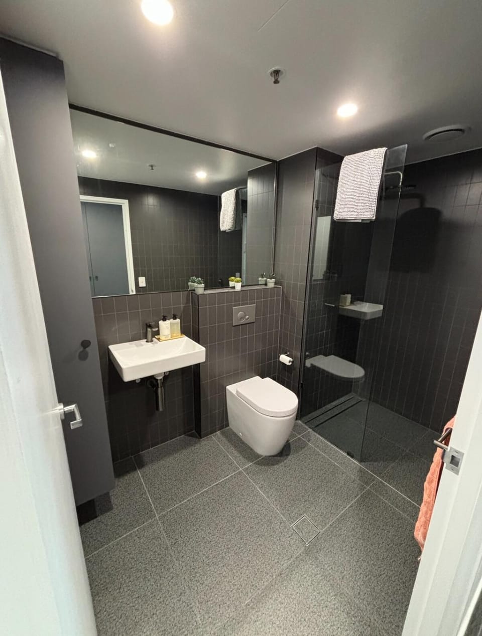 Plush at Nightfall 1 bedroom Free parking, wifi Apartment in Canberra