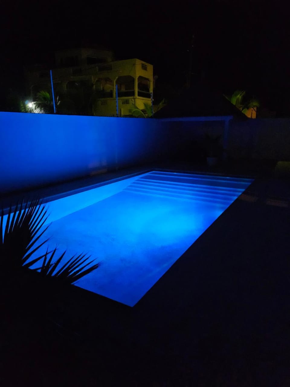 Swimming pool, Swimming pool