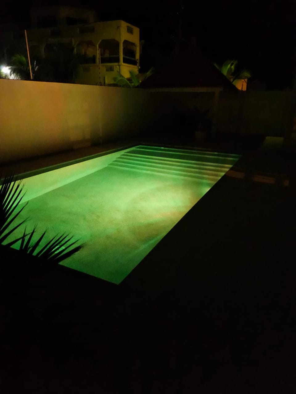 Swimming pool, Swimming pool