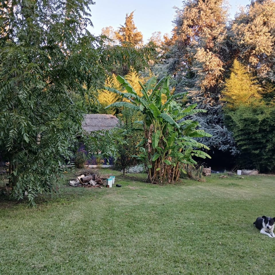 Hospedaje Natural CHANEYLU House in Buenos Aires Province