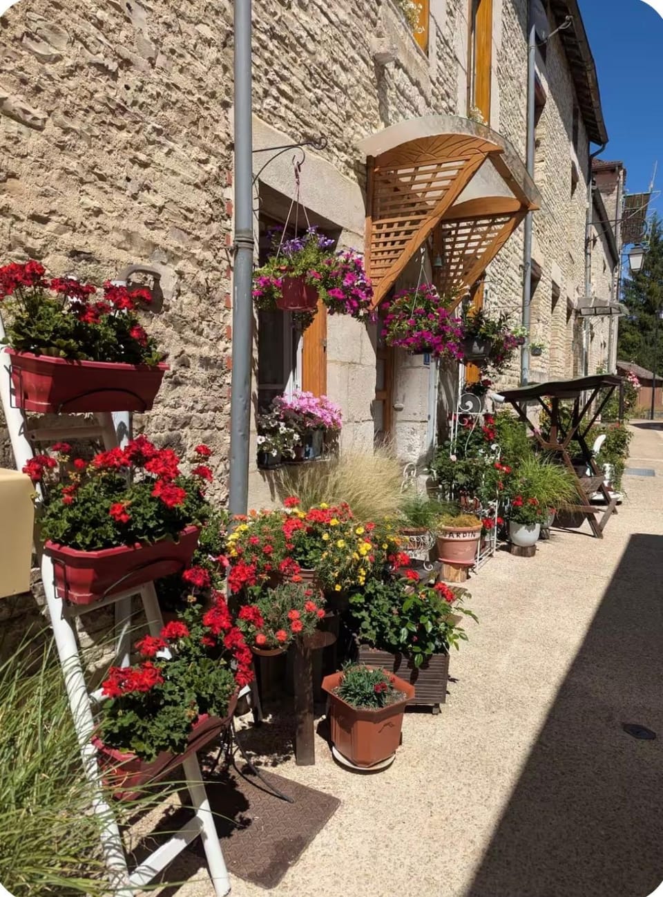 Property building, Spring, Day, Neighbourhood, Garden, Garden view, Street view