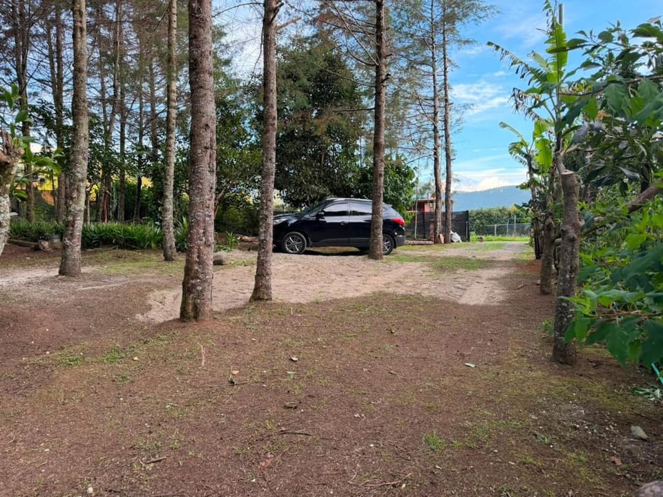 Natural landscape, Garden view