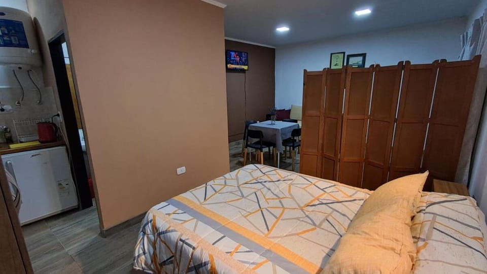 Bed, TV and multimedia, Kitchen or kitchenette, Photo of the whole room, Bedroom, wardrobe