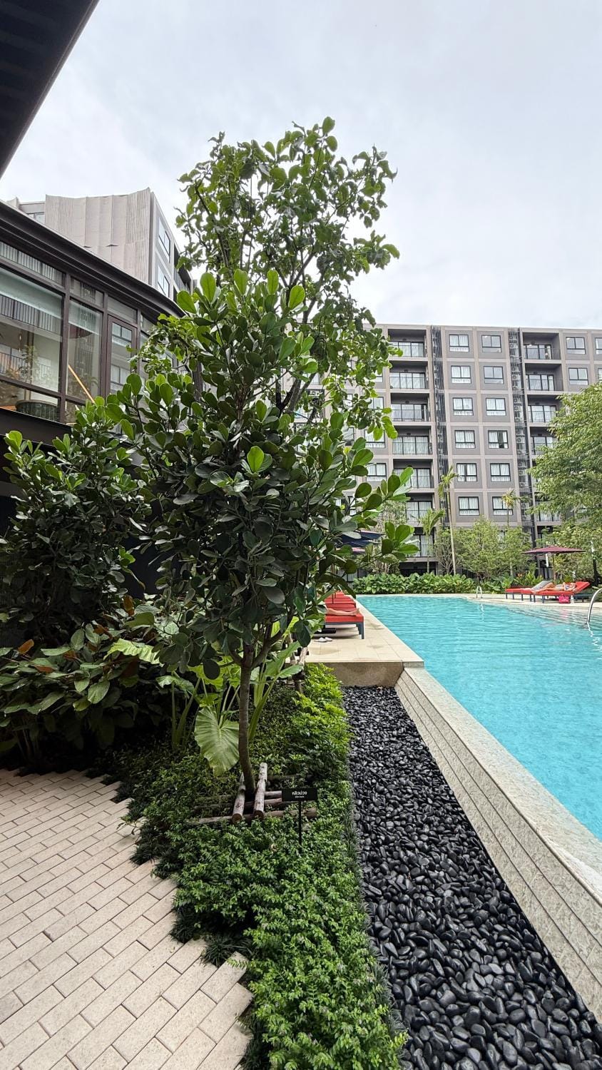 Base Cherngtalay 230 Apartment in Choeng Thale