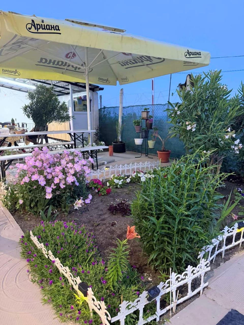 Вила Морски Рай Bed and Breakfast in Pomorie