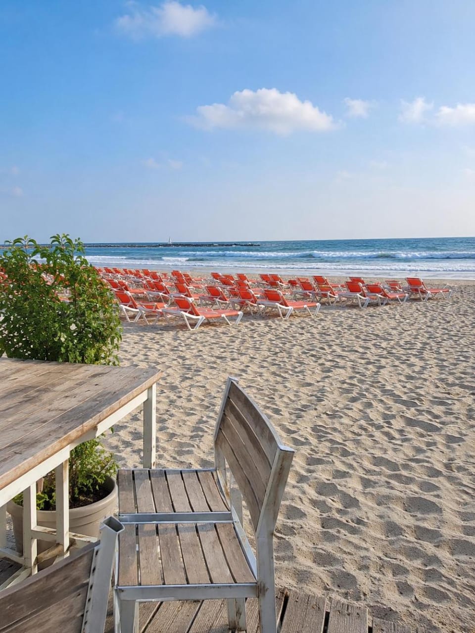 Beach, sunbed